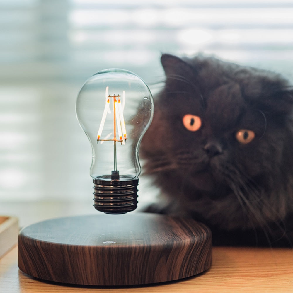 Levitating Light-bulb