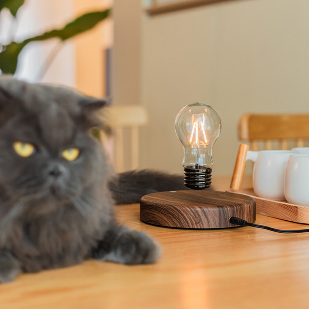 Levitating Light-bulb